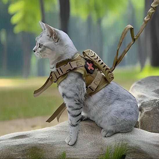 Harnais anti - fugue réglable pour chats - universmiaou