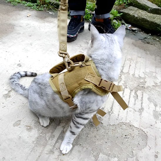 Harnais anti - fugue réglable pour chats - universmiaou