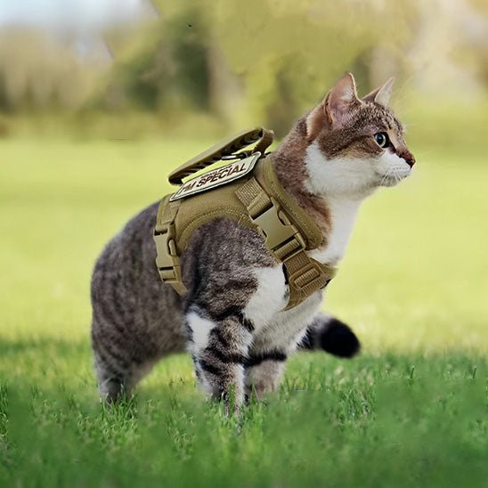 Harnais anti - fugue réglable pour chats - universmiaou