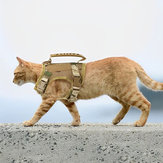 Harnais anti - fugue réglable pour chats - universmiaou