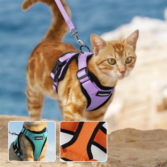 Harnais avec laisse pour chat - universmiaou