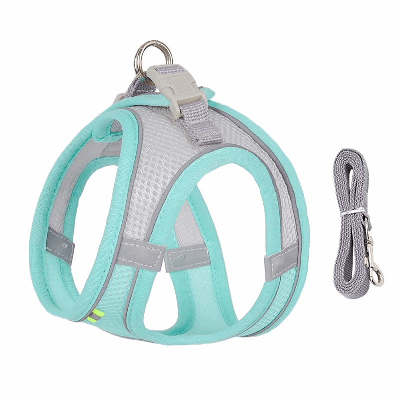 Harnais de marche en plein air pour chat adjustable - universmiaou