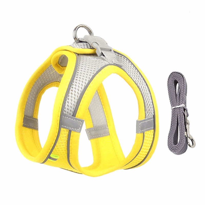 Harnais de marche en plein air pour chat adjustable - universmiaou