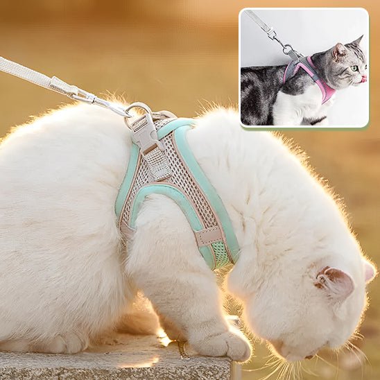 Harnais de marche en plein air pour chat adjustable - universmiaou