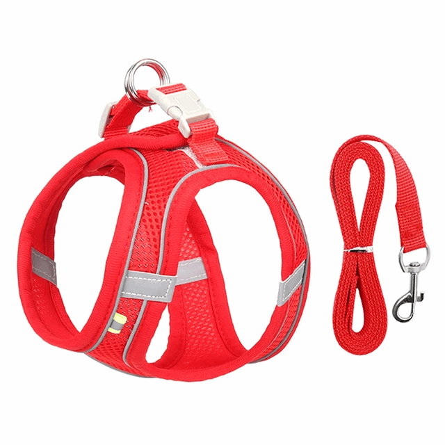 Harnais de marche en plein air pour chat adjustable - universmiaou