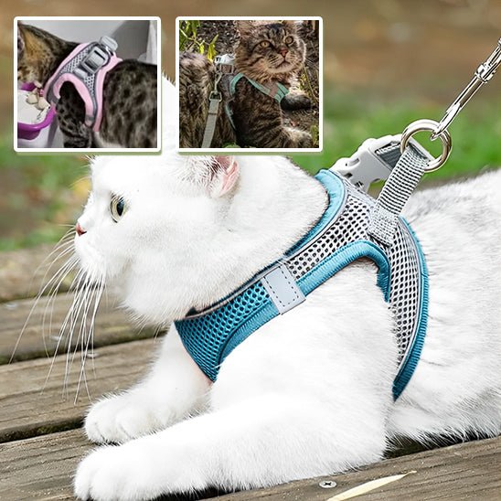 Harnais de marche en plein air pour chat adjustable - universmiaou
