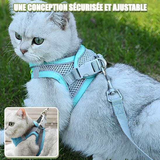 Harnais de marche en plein air pour chat adjustable - universmiaou
