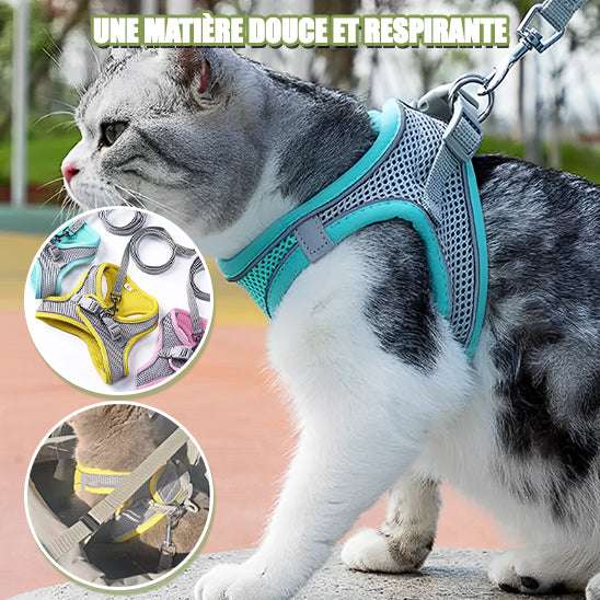 Harnais de marche en plein air pour chat adjustable - universmiaou