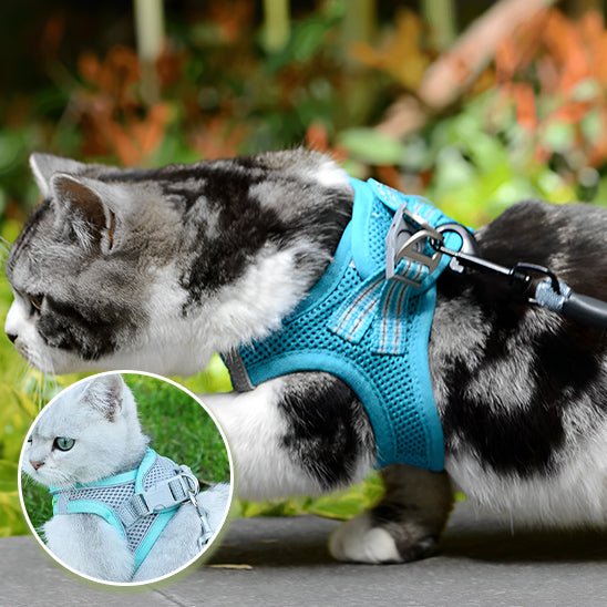 Harnais de marche en plein air pour chat adjustable - universmiaou