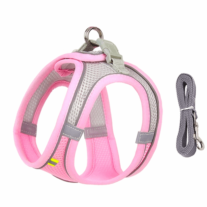 Harnais de marche en plein air pour chat adjustable - universmiaou