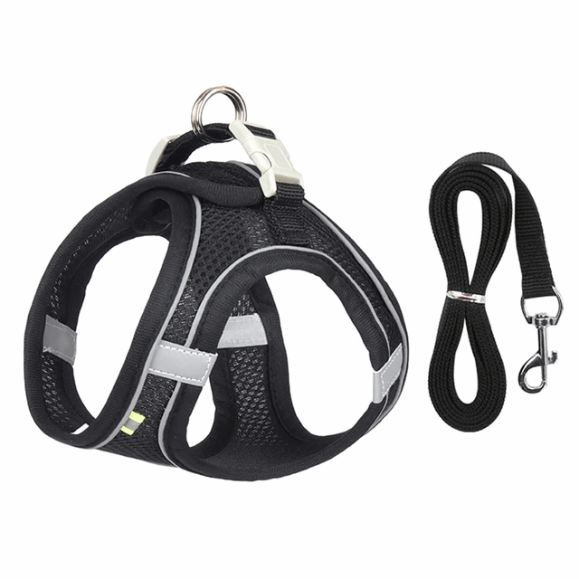 Harnais de marche en plein air pour chat adjustable - universmiaou