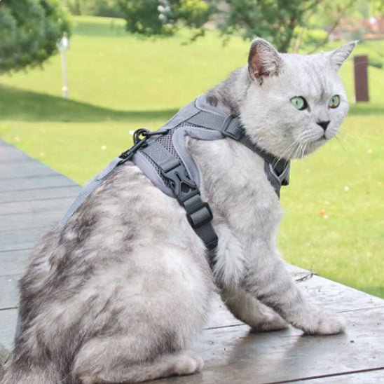 harnais et laisse réglable avec sangle de poitrine pour chat - universmiaou