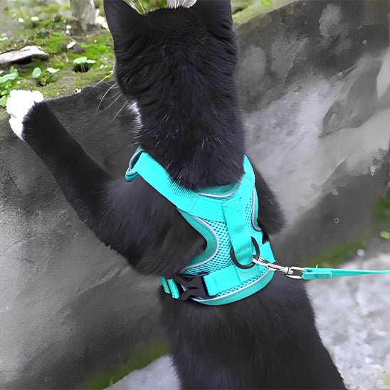 harnais et laisse réglable avec sangle de poitrine pour chat - universmiaou