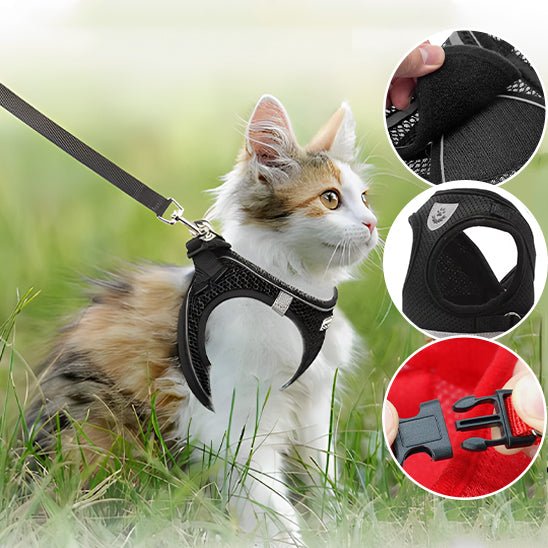 Harnais pour chat réfléchissant et réglable - universmiaou