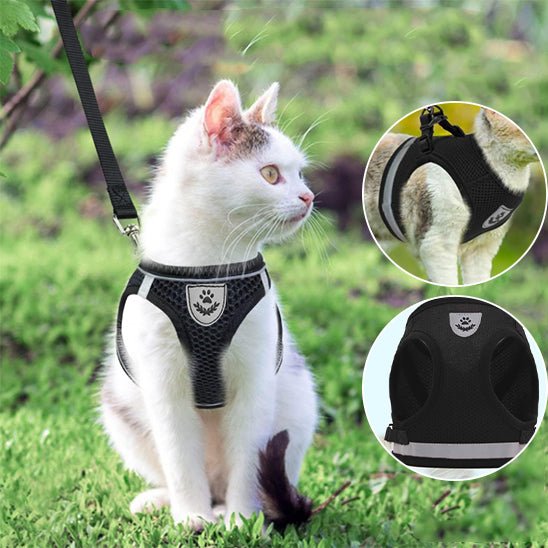Harnais pour chat réfléchissant et réglable - universmiaou