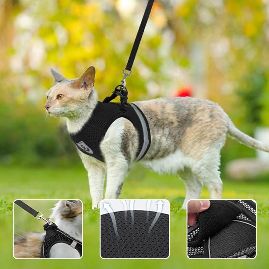 Harnais pour chat réfléchissant et réglable - universmiaou