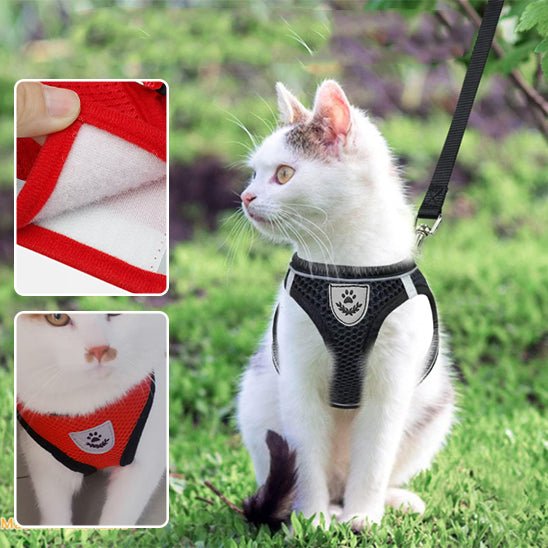 Harnais pour chat réfléchissant et réglable - universmiaou