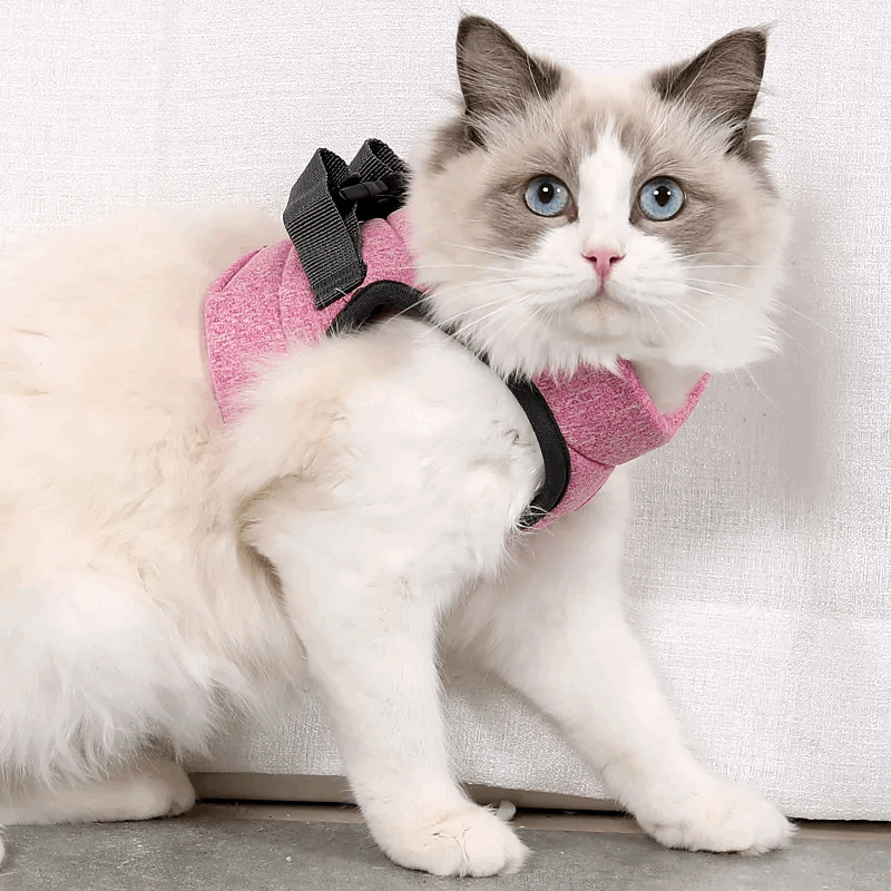Harnais respirant de sécurité et anti - évasion pour chat - universmiaou