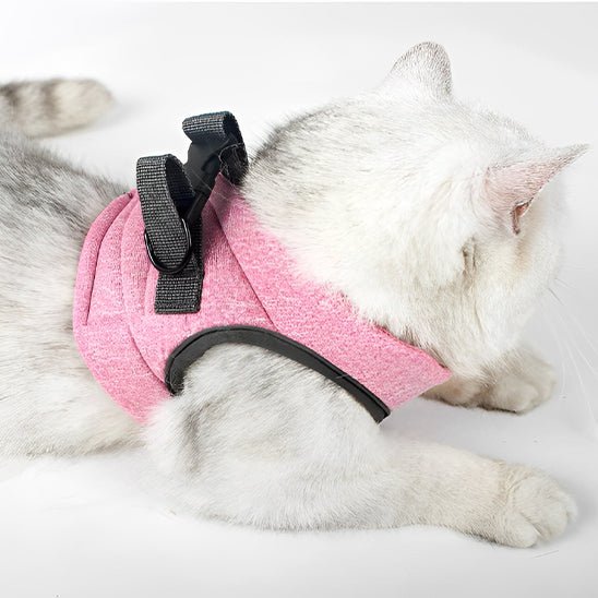 Harnais respirant de sécurité et anti - évasion pour chat - universmiaou