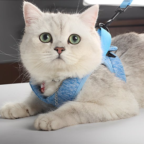 Harnais respirant de sécurité et anti - évasion pour chat - universmiaou