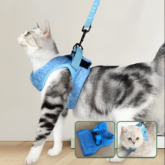 Harnais respirant de sécurité et anti - évasion pour chat - universmiaou