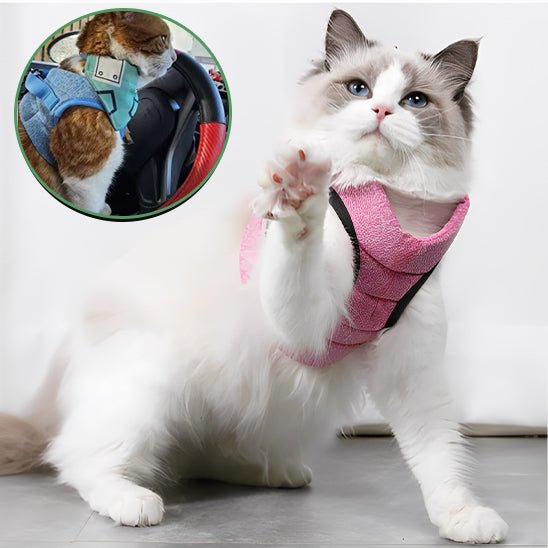 Harnais respirant de sécurité et anti - évasion pour chat - universmiaou
