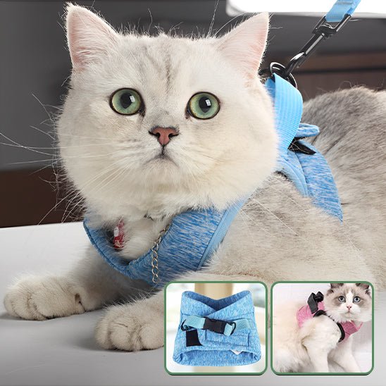 Harnais respirant de sécurité et anti - évasion pour chat - universmiaou