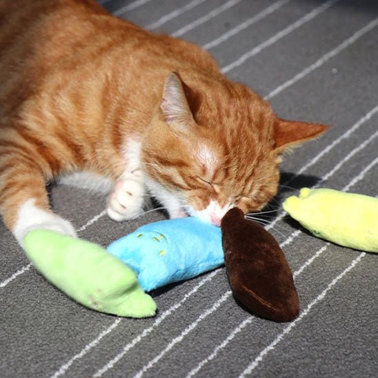 Jouet à mâcher rempli d'herbe à chat - universmiaou