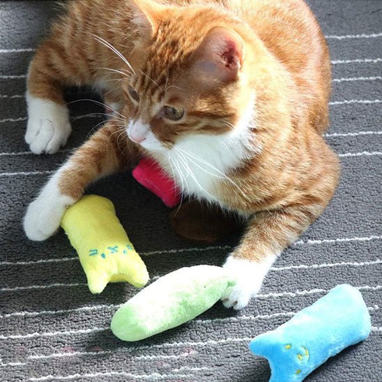 Jouet à mâcher rempli d'herbe à chat - universmiaou