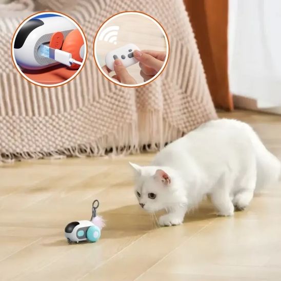 Jouet de voiture interactif intelligent pour chat - universmiaou