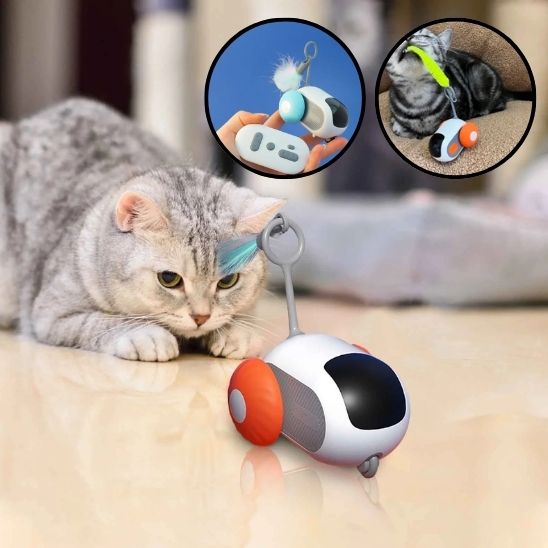 Jouet de voiture interactif intelligent pour chat - universmiaou