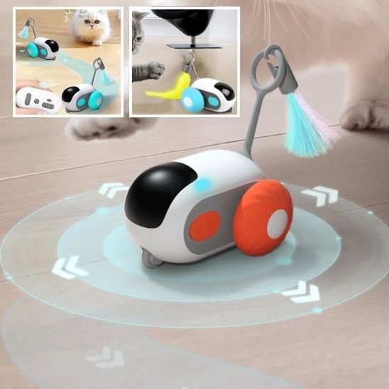 Jouet de voiture interactif intelligent pour chat - universmiaou