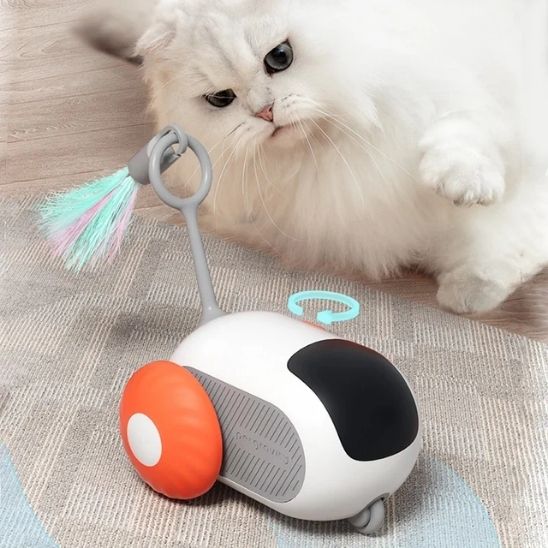 Jouet de voiture interactif intelligent pour chat - universmiaou