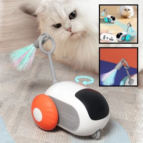 Jouet de voiture interactif intelligent pour chat - universmiaou