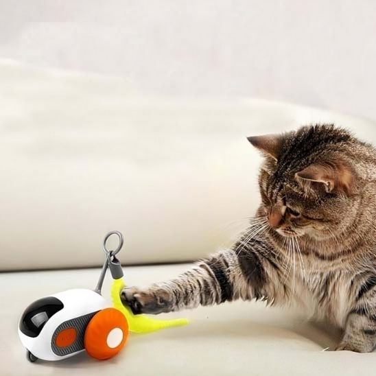 Jouet de voiture interactif intelligent pour chat - universmiaou