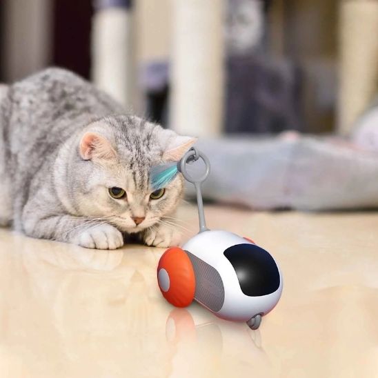 Jouet de voiture interactif intelligent pour chat - universmiaou