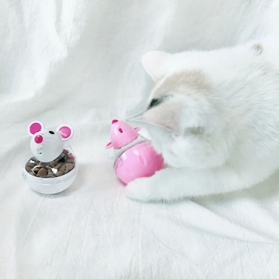 Jouet en forme de souris pour chat - universmiaou