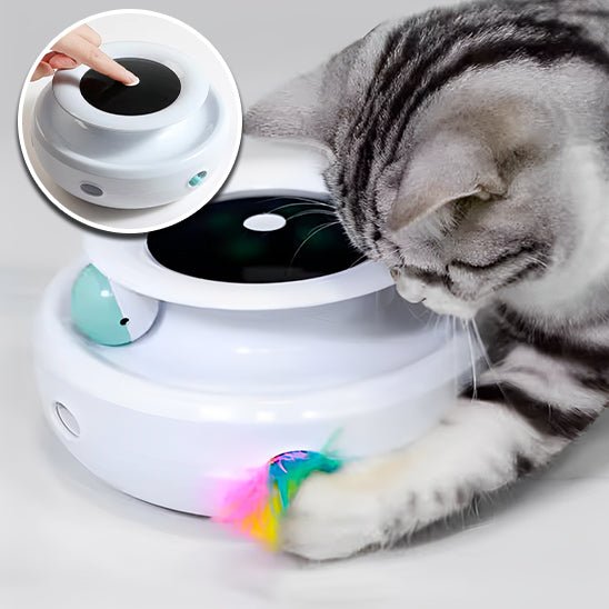 jouet intelligent avec plume amusant pour chat - universmiaou