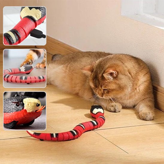 Jouet intelligent en forme de serpent pour chat - universmiaou