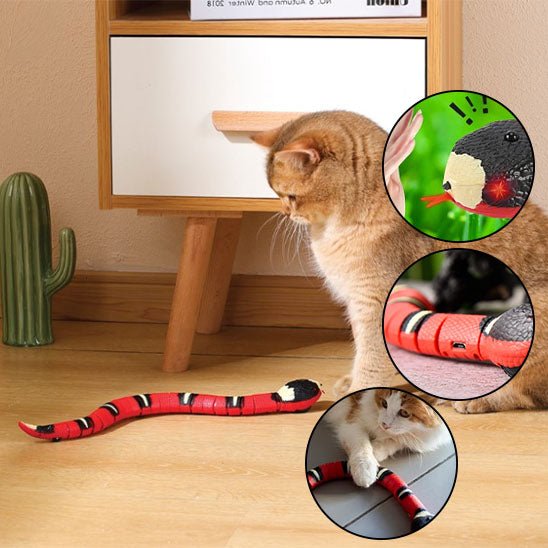 Jouet intelligent en forme de serpent pour chat - universmiaou