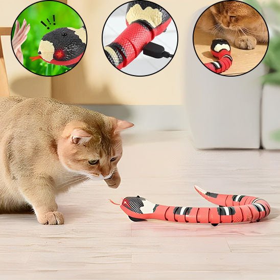 Jouet intelligent en forme de serpent pour chat - universmiaou