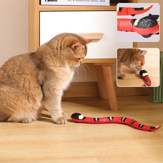 Jouet intelligent en forme de serpent pour chat - universmiaou