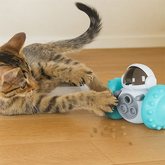 Jouet alimentaire pour chat