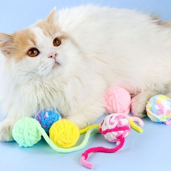 Jouet interactif en fil de laine colorées pour Chats - universmiaou