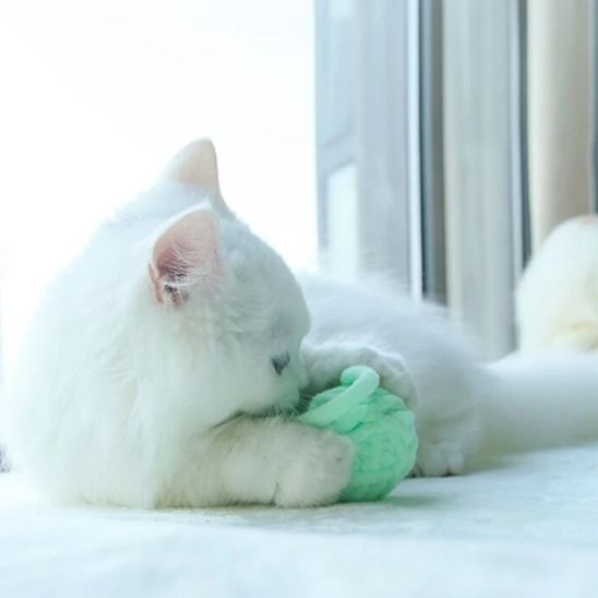 Jouet interactif en fil de laine colorées pour Chats - universmiaou