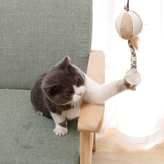 Jouet interactif pour chat avec plumes - universmiaou