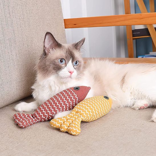 Jouet poisson interactif pour chat - universmiaou