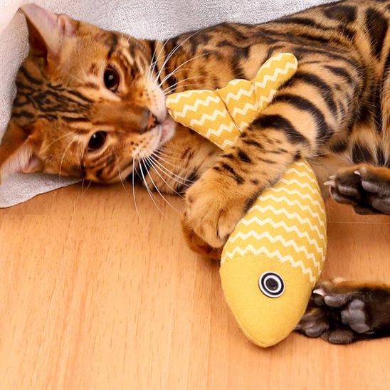 Jouet poisson interactif pour chat - universmiaou