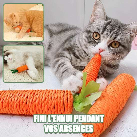 Jouet pour chat en forme de carotte - universmiaou
