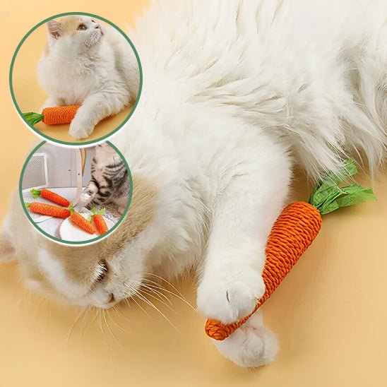 Jouet pour chat en forme de carotte - universmiaou